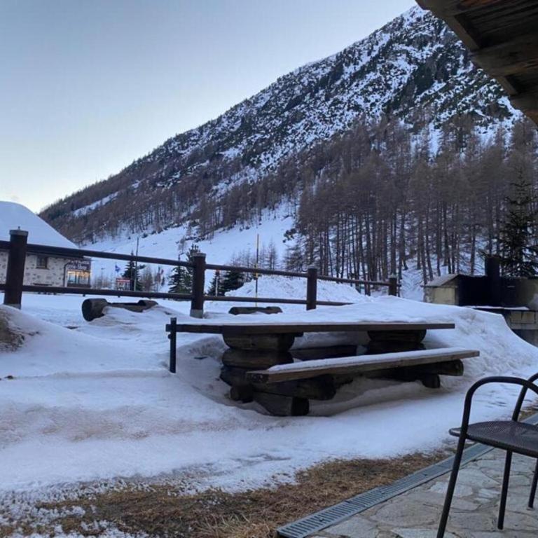 Appartamento Piz Orsera - Appartamento con 1 Camera da Letto e Vista Giardino - 15