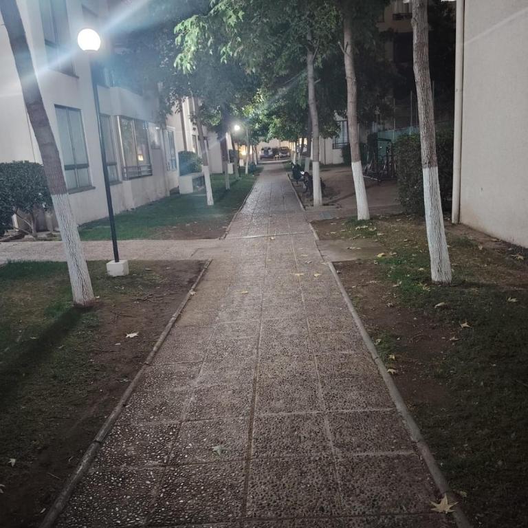 Alojamiento diario - Apartamento - 1