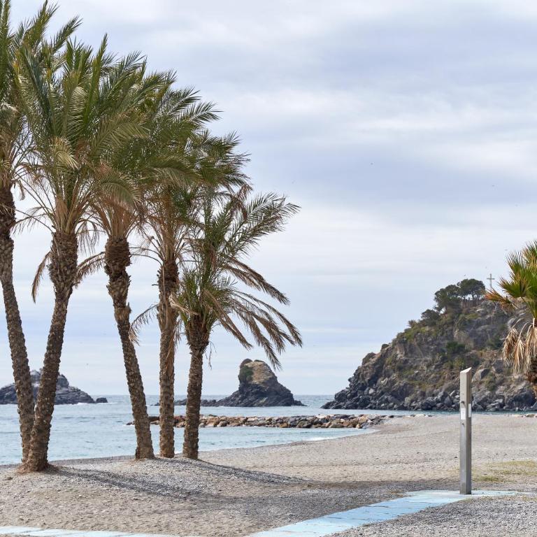 Apartment 250 M from the beach - Apartamento con ducha - 24