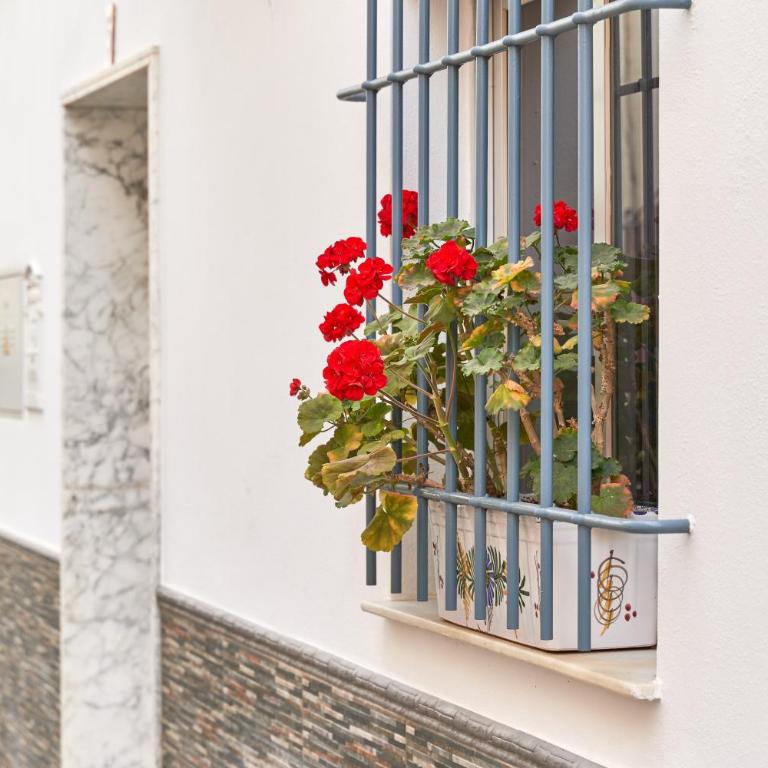 Apartment 250 M from the beach - Apartamento con ducha - 21
