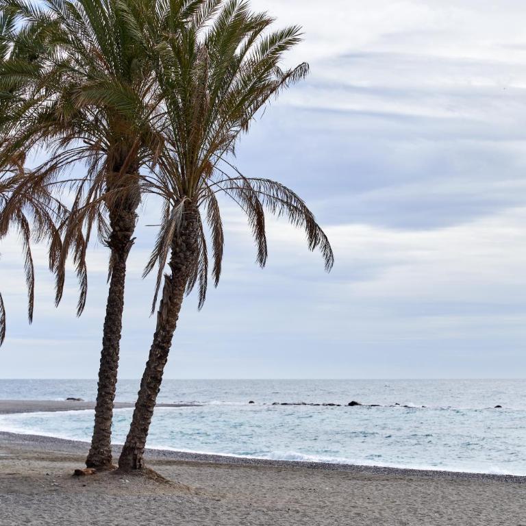 Apartment 250 M from the beach - Apartamento con ducha - 25