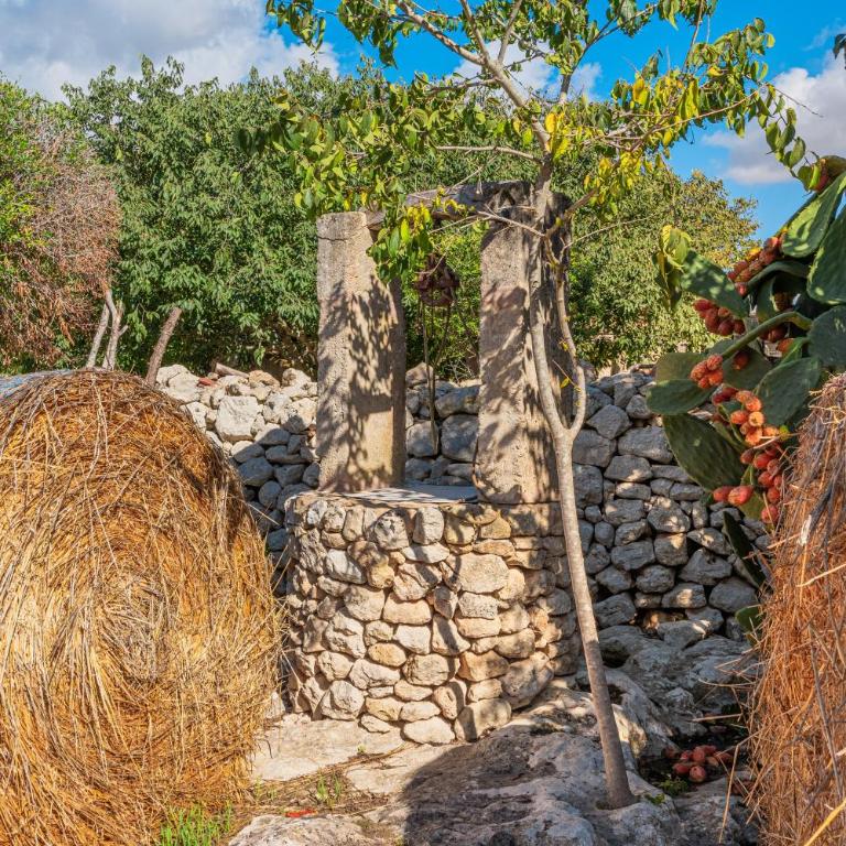 Ca S'hereu - Villa con vistas al jardín - 23
