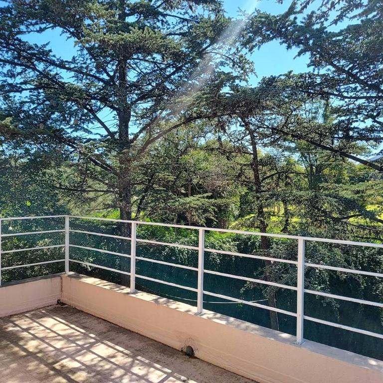 Pinos del Virrey II - Two-Bedroom House - 9