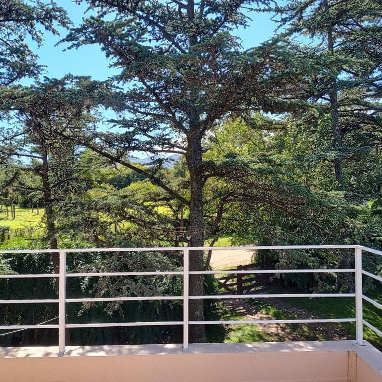 Pinos del Virrey II - Two-Bedroom House - 8
