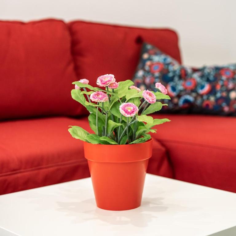 Aire del Mar - Apartamento Superior de 1 dormitorio con balcón - 7