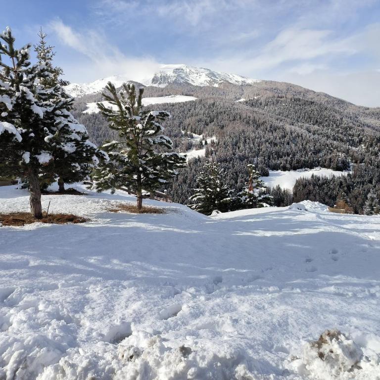 Il Nido Di Montagna - Monolocale con Vista Montagna - 18