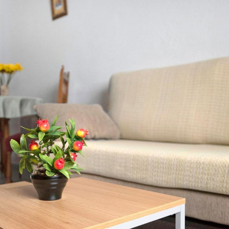 Apartamento Ruz Bajo - Apartamento Superior con vistas a la ciudad - 2