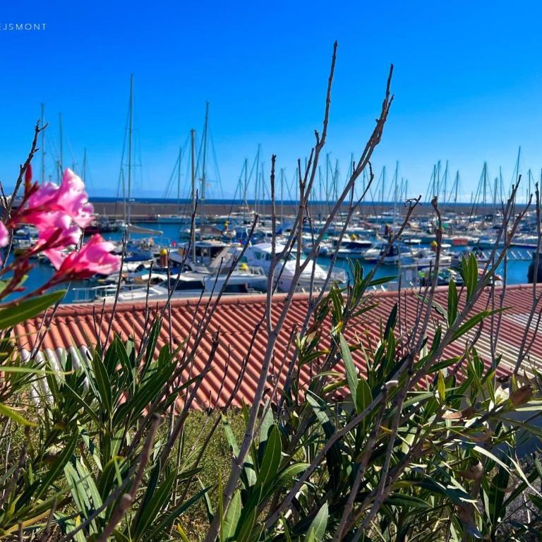 Apartamento Isla Feliz - Casa con 1 dormitorio - 18