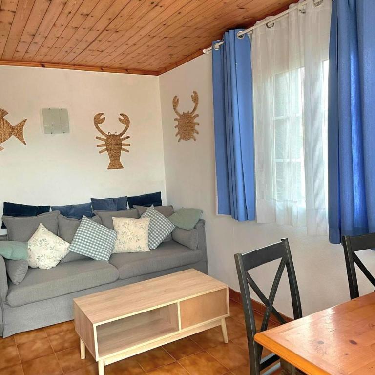 Escalante C8 - Apartamento con terraza - 4