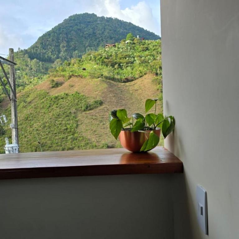 PacoHouse cerca al parque - One-Bedroom Apartment - 30