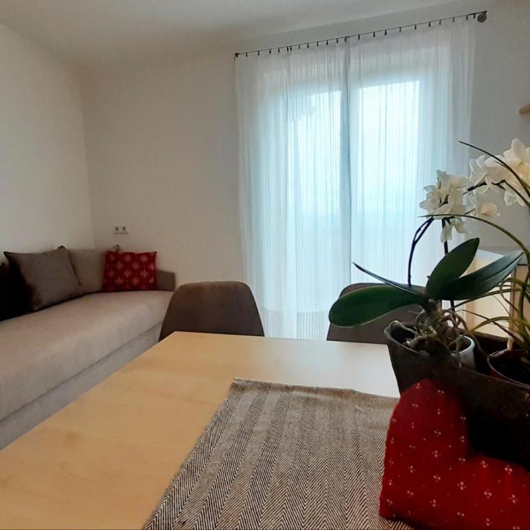 Fröhlichhof Wohnung Apfelblüte - Superior One-Bedroom Apartment with Balcony - 11