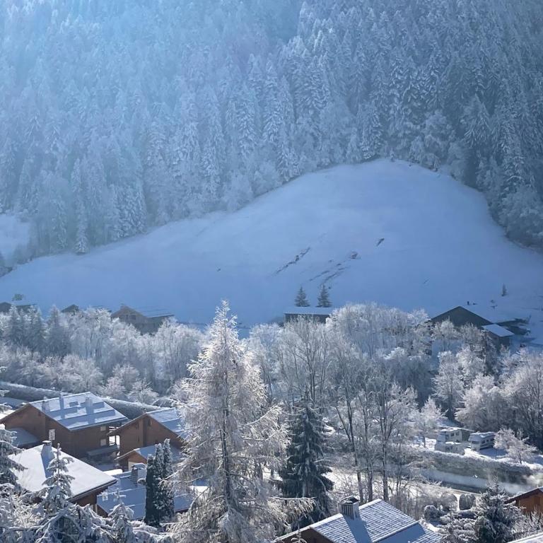 Appartement Les Genevriers - Deluxe Apartment mit Balkon und 2 Schlafzimmern - 28
