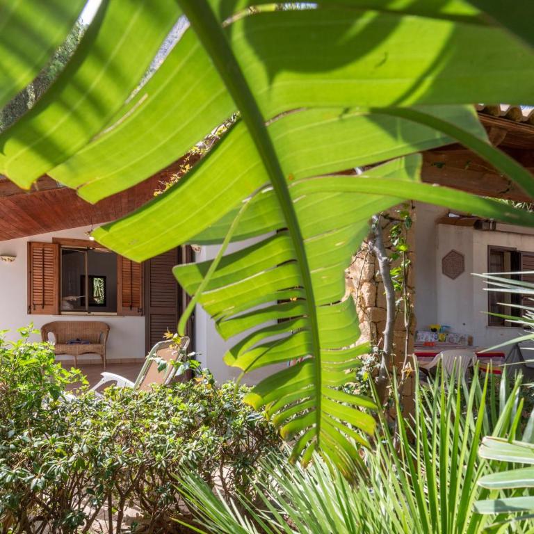 Vacanze e Relax Frassino - Appartamento Monolocale con Vista Mare - 23