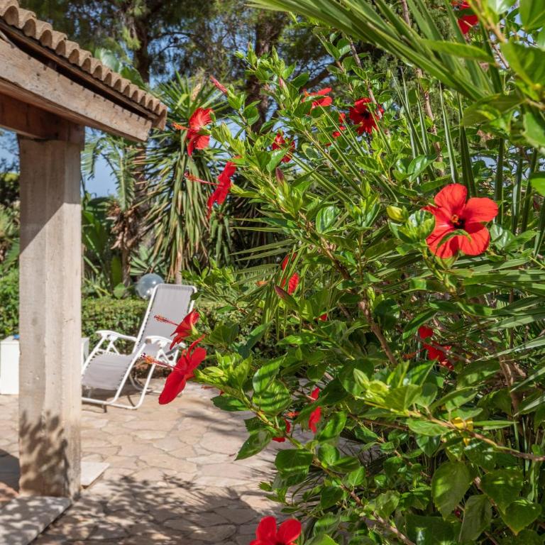 Vacanze e Relax Frassino - Appartamento Monolocale con Vista Mare - 22