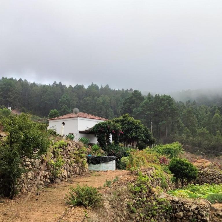 Casa Regina - Villa - 19