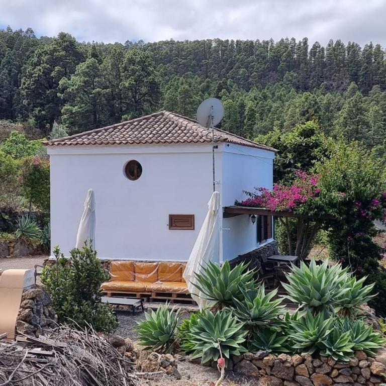 Casa Regina - Villa - 17
