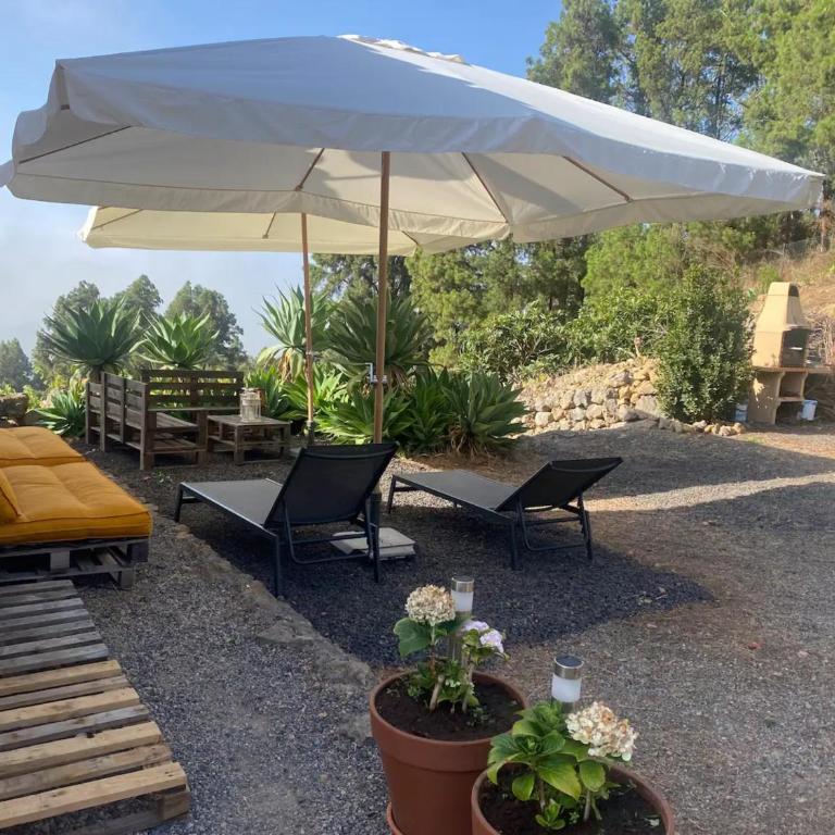 Casa Regina - Villa - 5