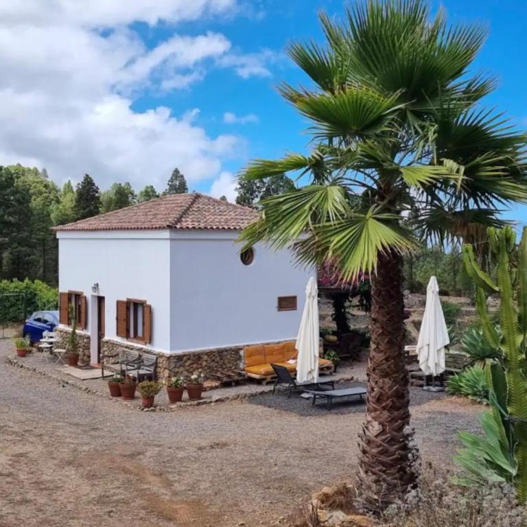 Casa Regina - Villa - 4