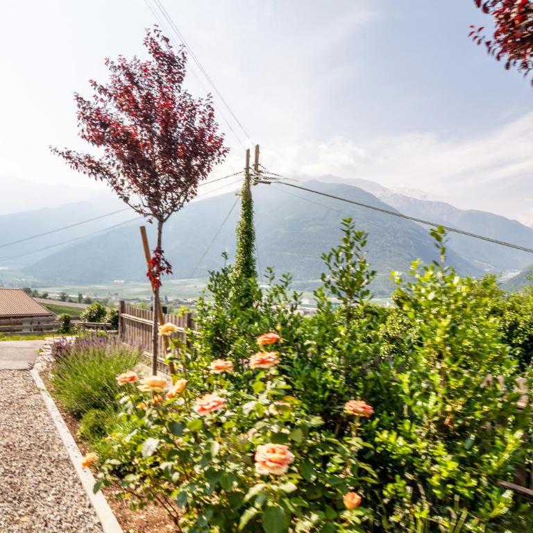 Langstein Wohnung Sonnenblume - Appartamento Deluxe con 2 Camere da Letto e Vista Giardino - 20