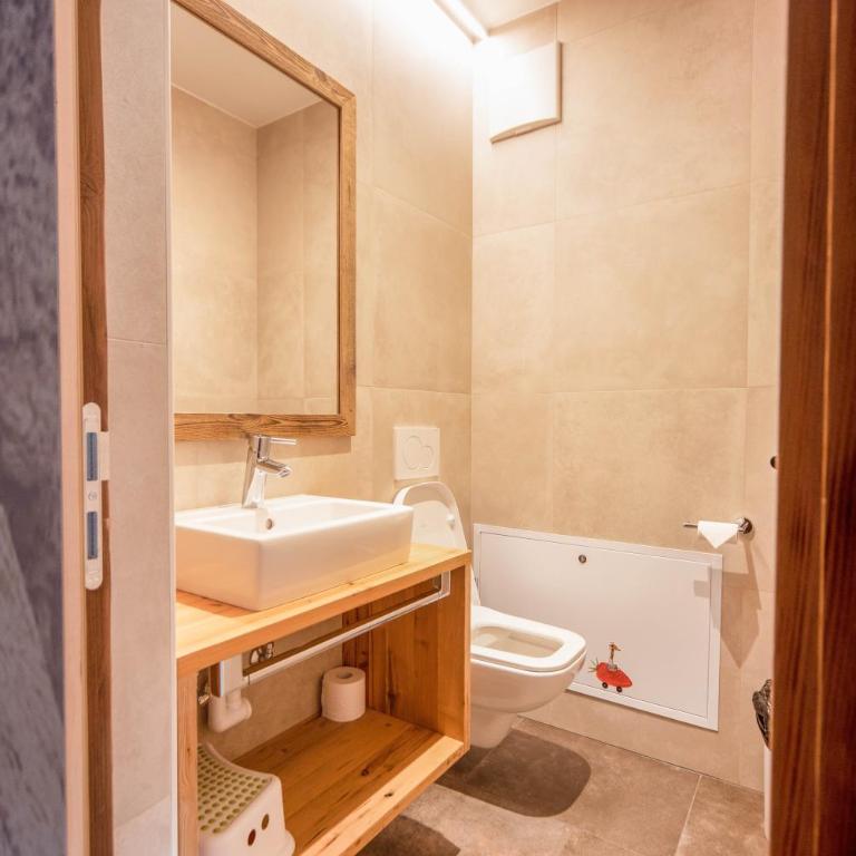 Sonnleiten Sonnenadler 4 - Appartamento Deluxe con 2 Camere da Letto e Vista Giardino - 16