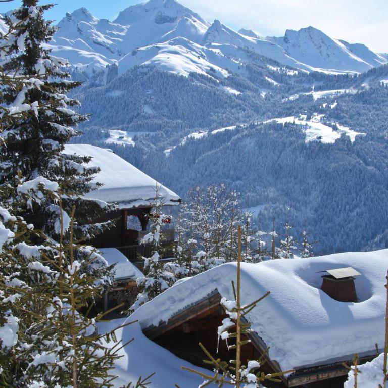 Chalet Vardasse - Chalet 2 Chambres - 24
