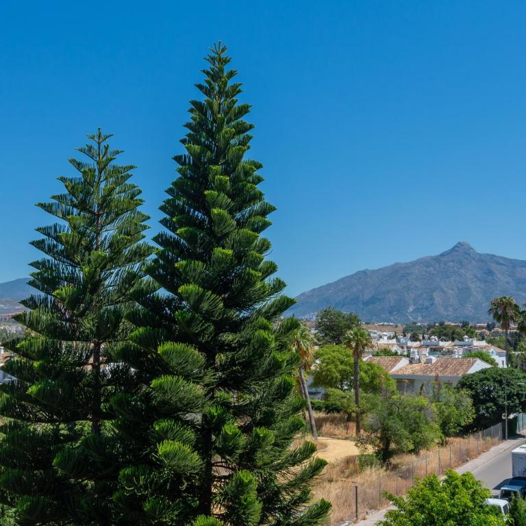Marbella Beach San Pedro - Two-Bedroom Deluxe Apartment with Garden View - 27