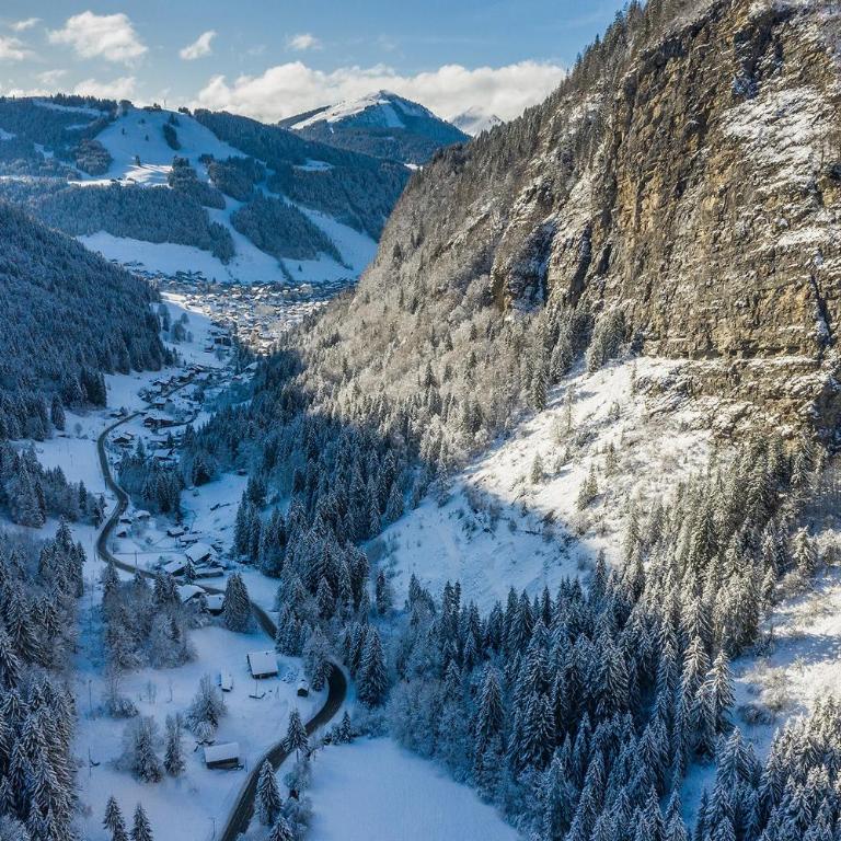 Apt Chénives 2 - Morzine - Appartamento Deluxe con 2 Camere da Letto e Vista Giardino - 24