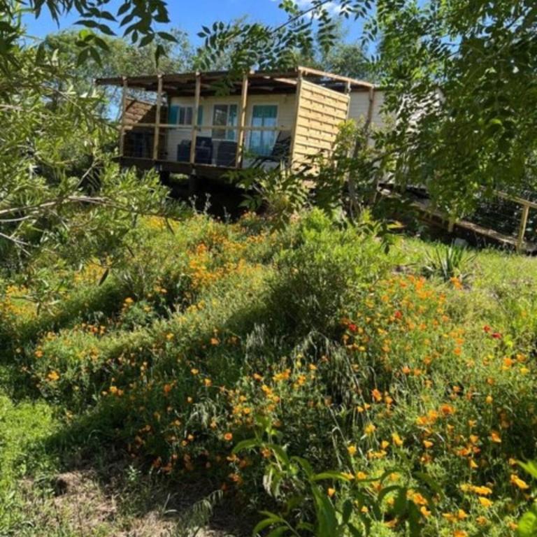 Mobilhome au vert - Mobile Home - 29