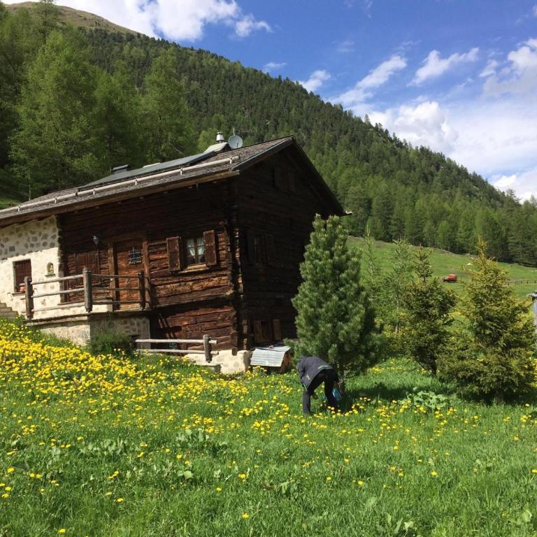 Tea da Anna e Luigi - One-Bedroom Apartment with Garden - 25