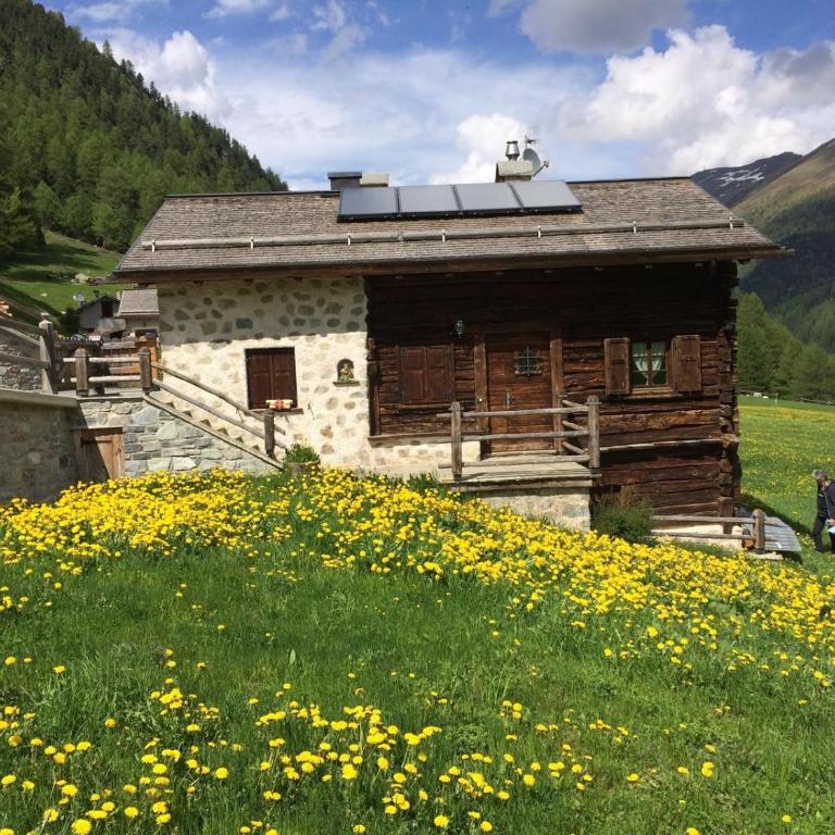 Tea da Anna e Luigi - One-Bedroom Apartment with Garden - 26