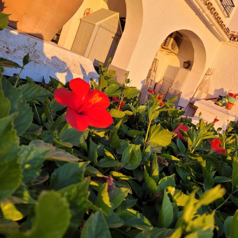 Apartamento de lujo Nerja - Apartamento Premium de 3 dormitorios con balcón - 25