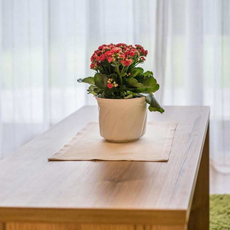 Haus zur Vogelweide App 1 - Appartamento con 1 Camera da Letto e Vista Giardino - 9