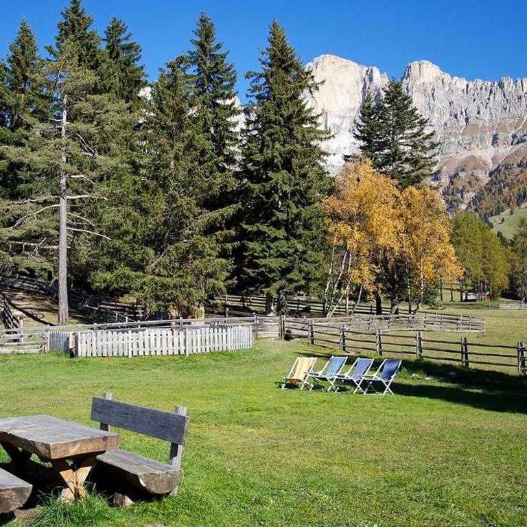 Angerle Alm Apt König Laurin - Appartamento Deluxe con 2 Camere da Letto e Vista Giardino - 28