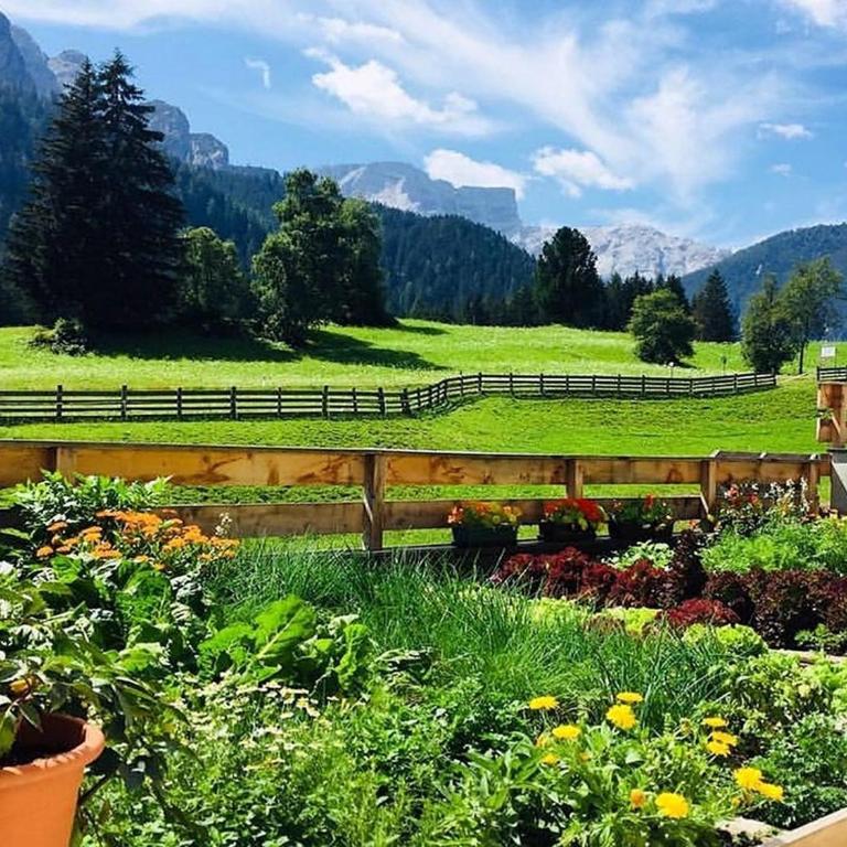 Mösslhof App Garten - Appartamento Superior con 1 Camera da Letto e Balcone - 15