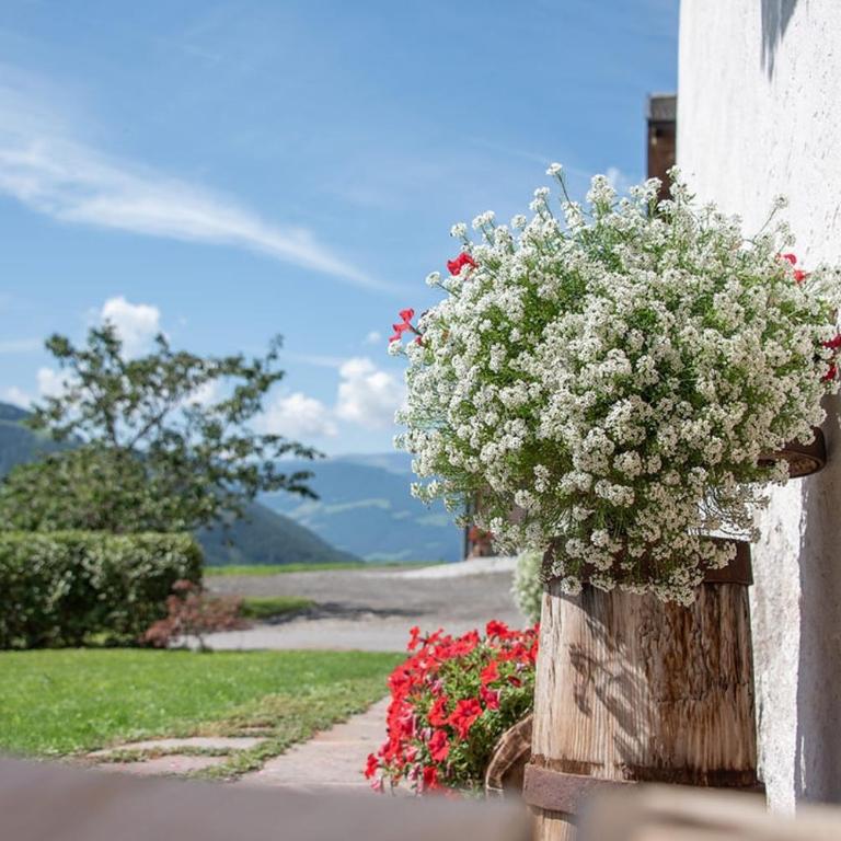 Oberglarzhof App Kirsch - Two-Bedroom Deluxe Apartment with Garden View - 14