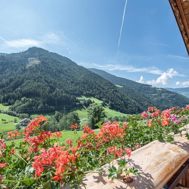 Oberglarzhof App Kirsch - Two-Bedroom Deluxe Apartment with Garden View - 3
