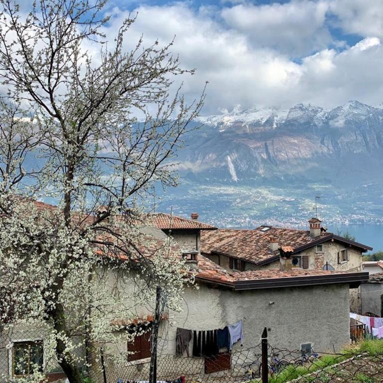 Casa Doss - Appartamento Deluxe con 2 Camere da Letto e Balcone - 31