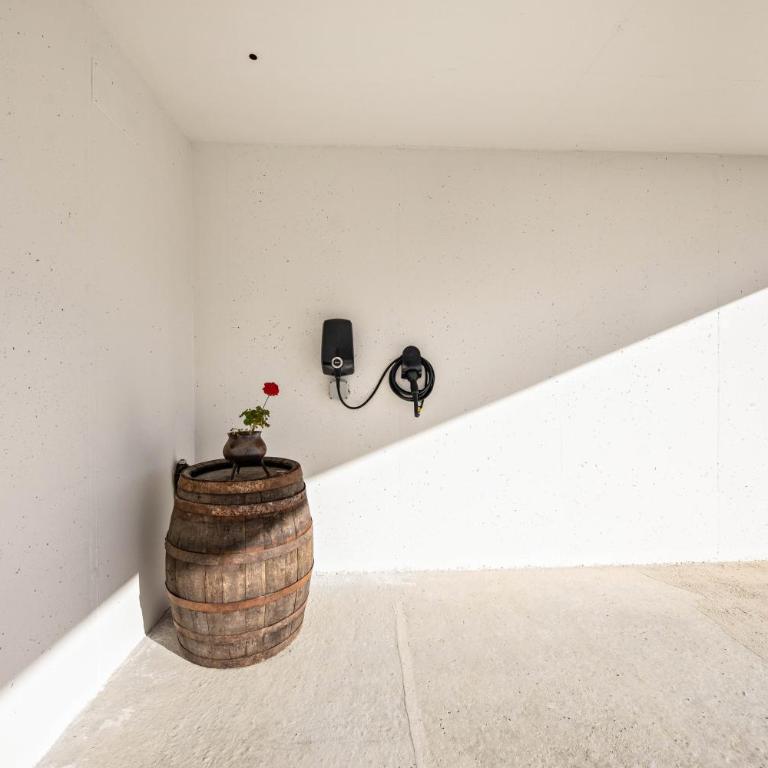 Thalerhof Naturae Rupes - Two-Bedroom Deluxe Apartment with Garden View - 30