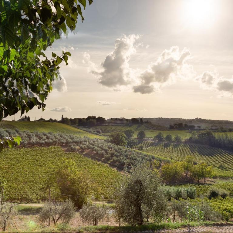 A Casa di Franca Villa con piscina - Villa con Vista Giardino - 15