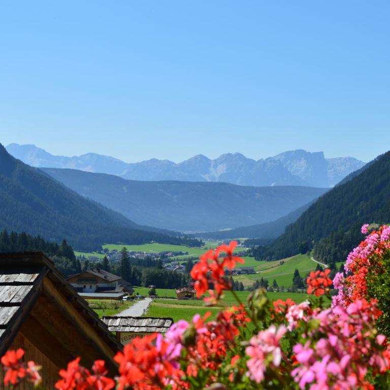 Feldererhof Gsies Apt Alpenrose - Superior Apartment mit 1 Schlafzimmer und Balkon - 31