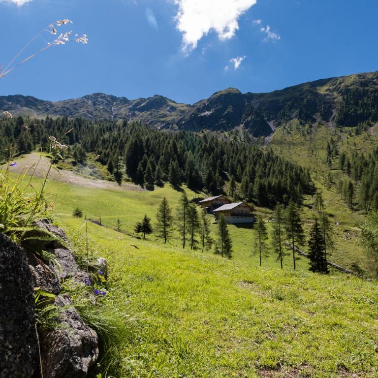 Feldererhof Gsies Apt Alpenrose - Superior Apartment mit 1 Schlafzimmer und Balkon - 26