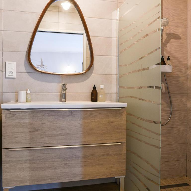 Chez Flo - clim parking - clg - Appartement avec Douche - 15