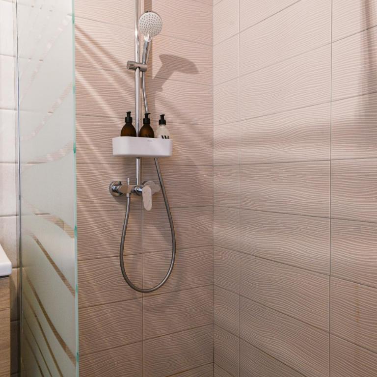 Chez Flo - clim parking - clg - Appartement avec Douche - 12