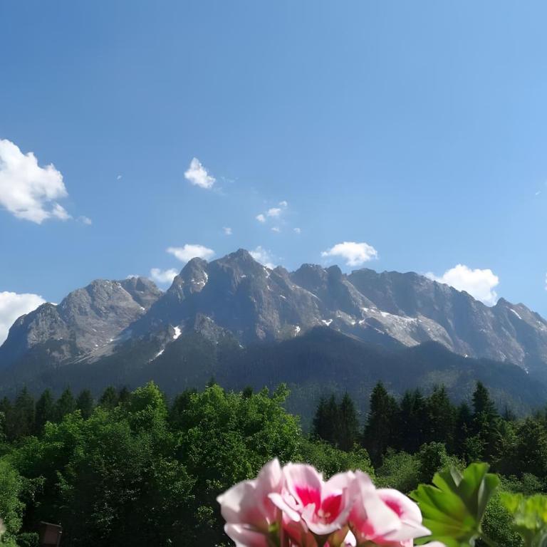 Ferienwohnung Zugspitze - Appartamento Deluxe con 2 Camere da Letto e Vista Giardino - 1