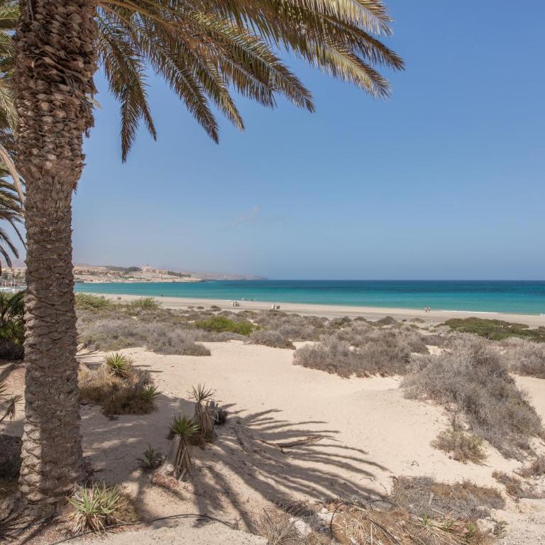 Carmina House - Apartamento Deluxe de 2 dormitorios con vistas al mar - 29
