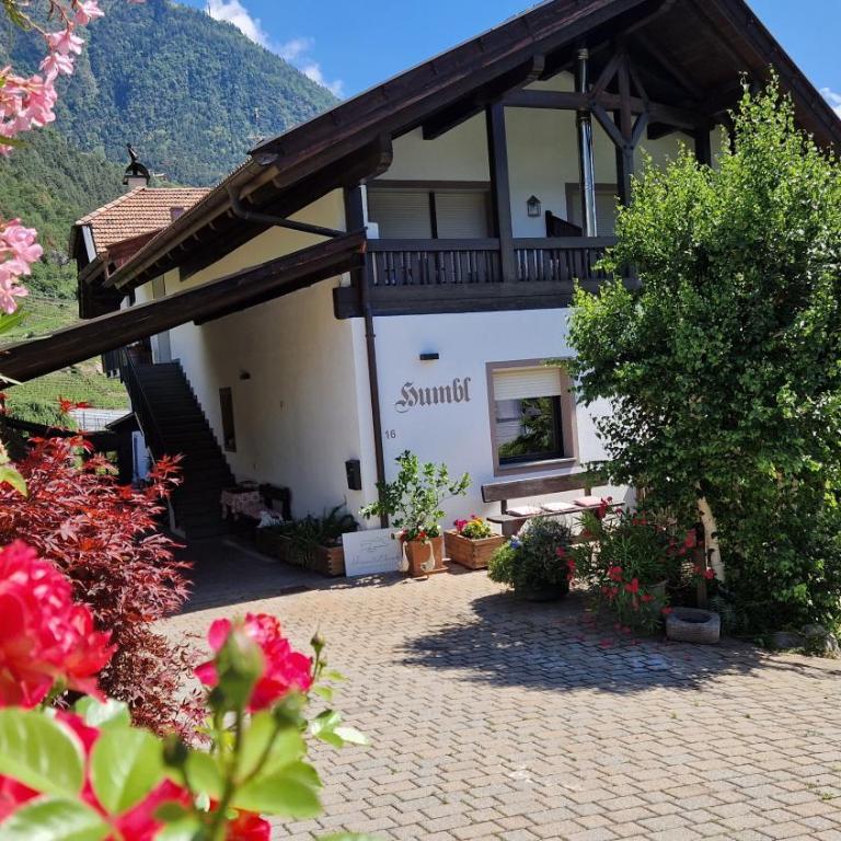 Humblhof - Apartamento Superior de 1 dormitorio con balcón - 13
