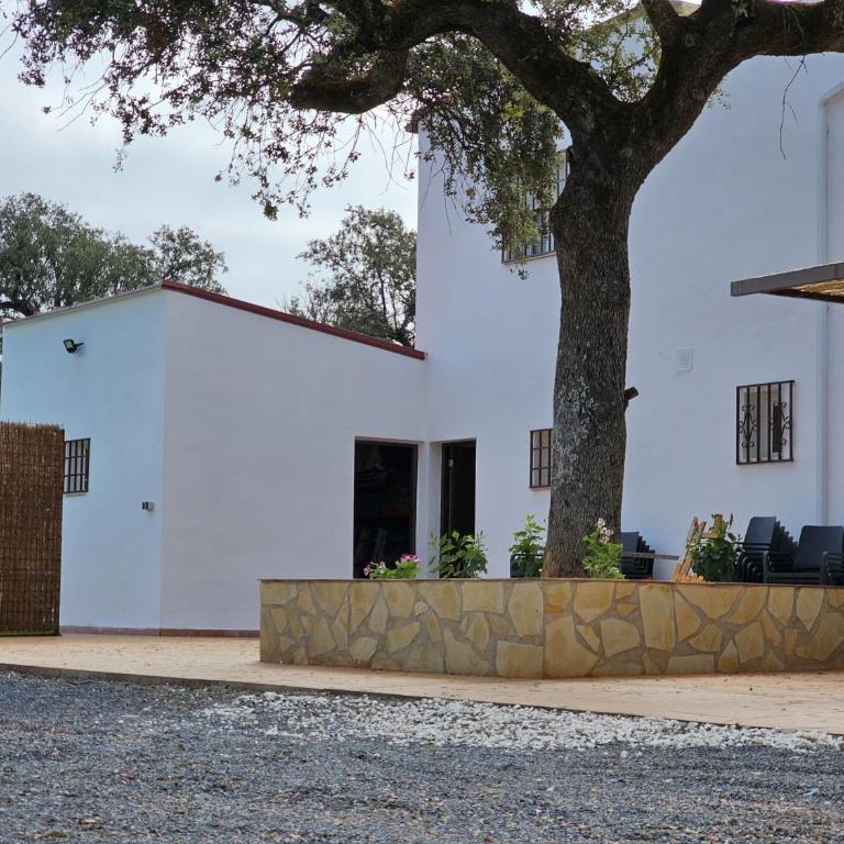 Casa Rural Villa La Finca - Apartment with Terrace - 15