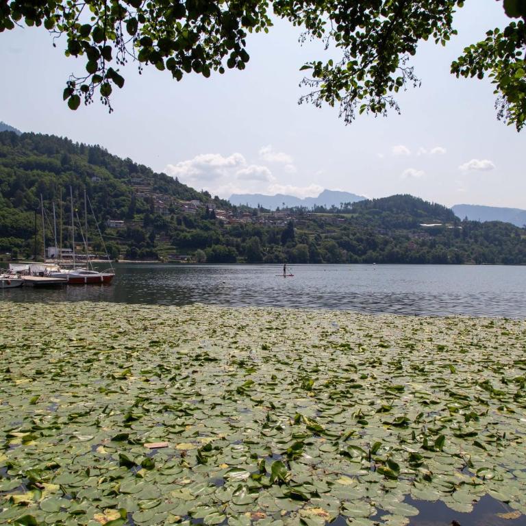 More a due passi dal lago - Apartamento Superior de 1 dormitorio con balcón - 17