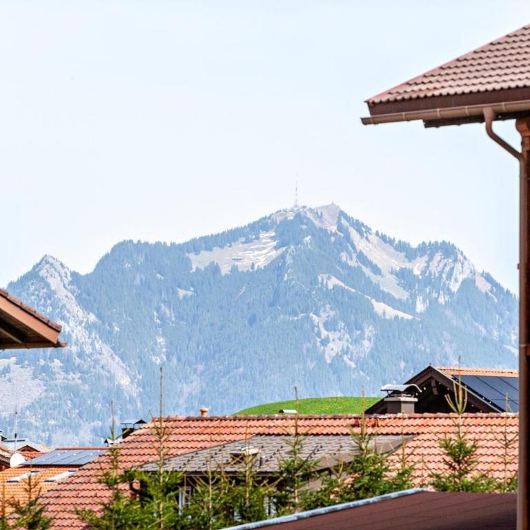 Appartement Braun 3 - Studio mit Bergblick - 3