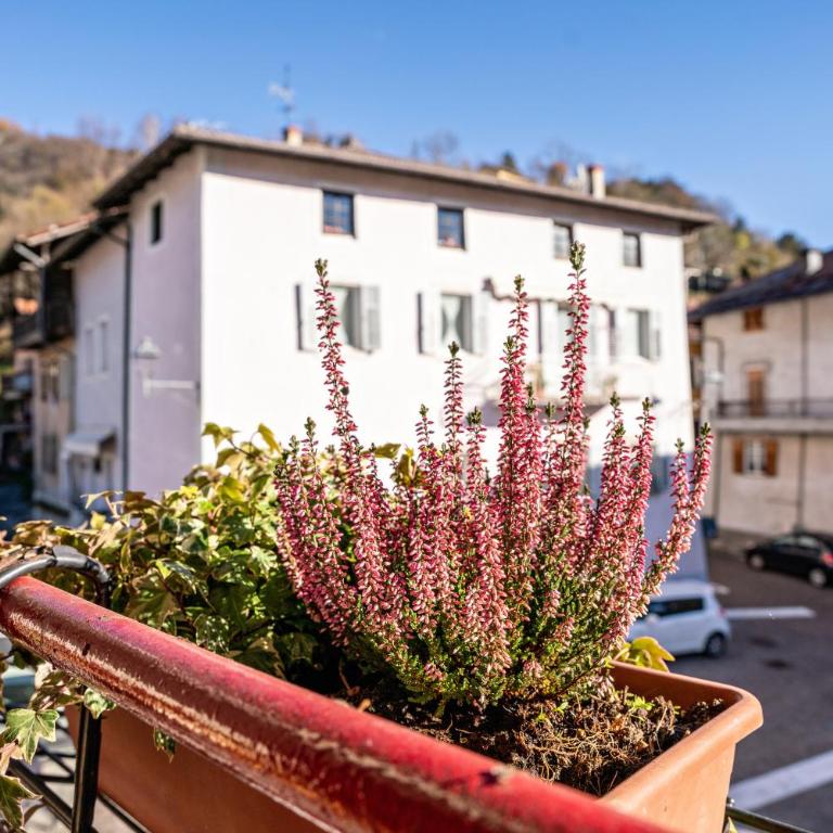 Balconi Rossi Borgo Valsugana - Appartamento Premium con 3 Camere da Letto e Balcone - 6